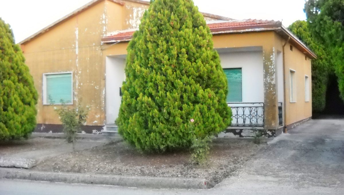 DSCN1011